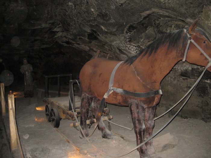 wieliczka (29)
